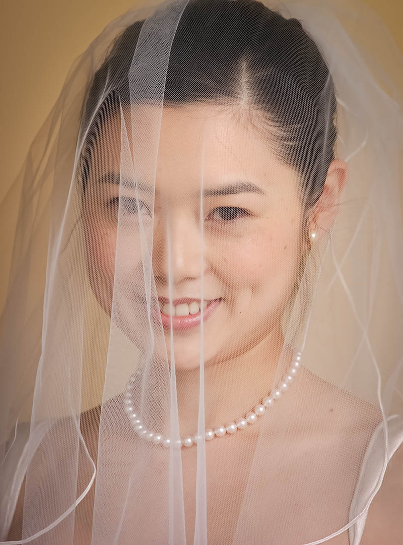 Formal Bridal Portrait